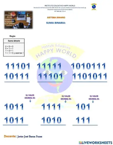 Suma binaria