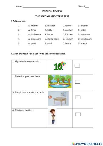 Grade 3 - Review Mid - term test