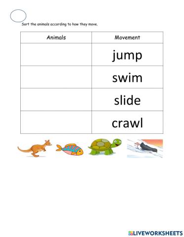 W10 D3 Categorizing Details
