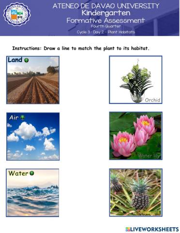 Day 2 - Plants Habitat