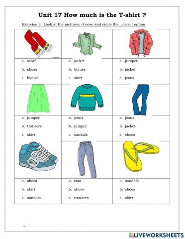 Grade 4-Unit 17-How much is the T-shirt