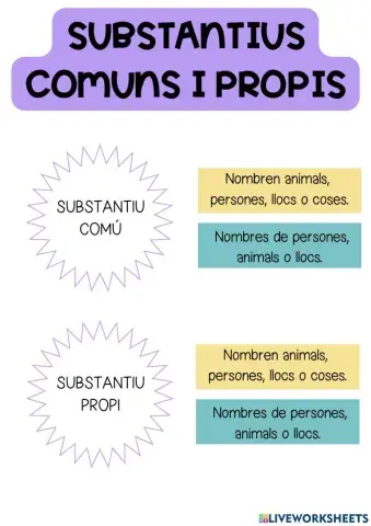 Substantius comuns i propis