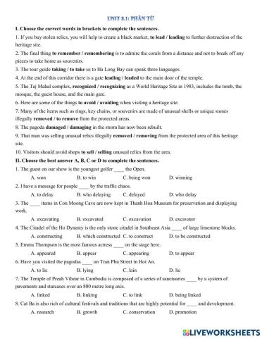 Y11 Unit 8.1 - Grammar - Phân từ