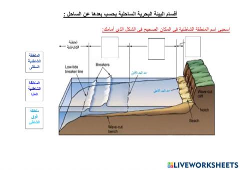 مناطق البيئة الساحلية