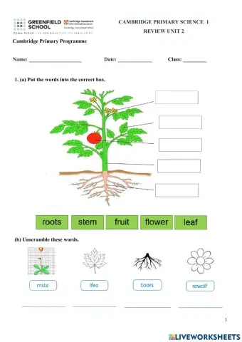 CPS1-Review Unit 2-WS1