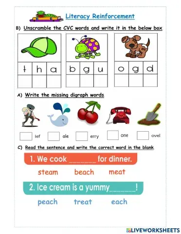 Literacy Reinforcement - Term 2