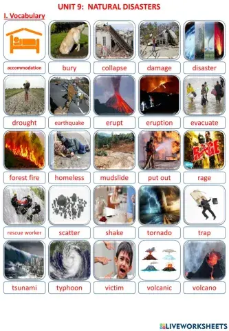 Unit 9:  natural disasters