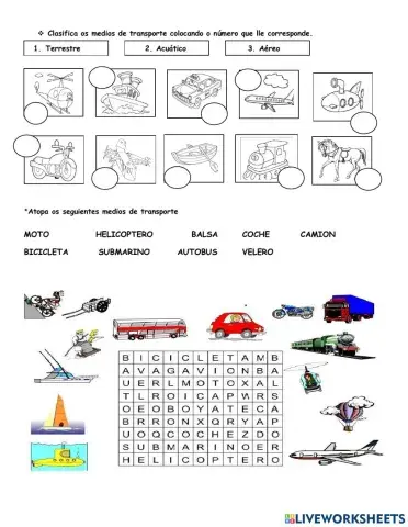 Medios de transporte 3