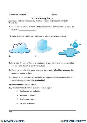 Ciclos biogeoquimicos