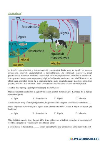 A szén-dioxid