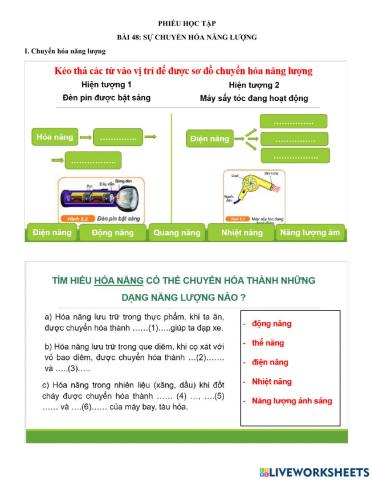 PHT Bài 48: Chuyển hóa năng lượng