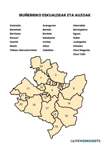 Iruñerriko eskualdeak