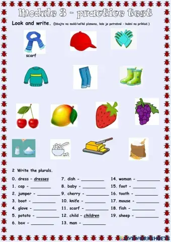 Module 3 Test PRACTICE 4TH grade