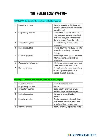 Human body systems review