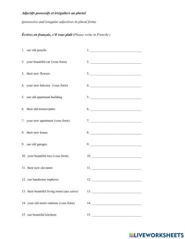 Adjectifs possessifs et irréguliers notre-nos, votre-vos, leur-leurs