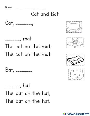 Cat and Bat Rhyme