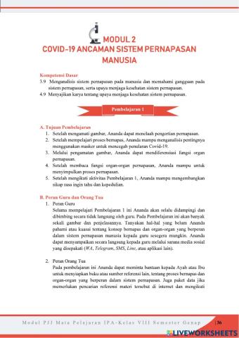 Sistem Pernapasan Pada Manusia