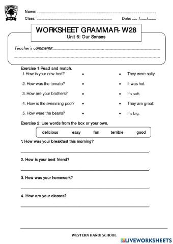 3C2- Worksheet Grammar-W28