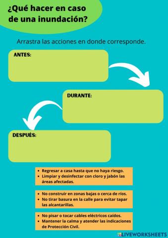 ¿Qué hacer en caso de inundación?