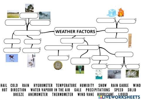 Weather factors