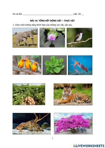 Động thực vật