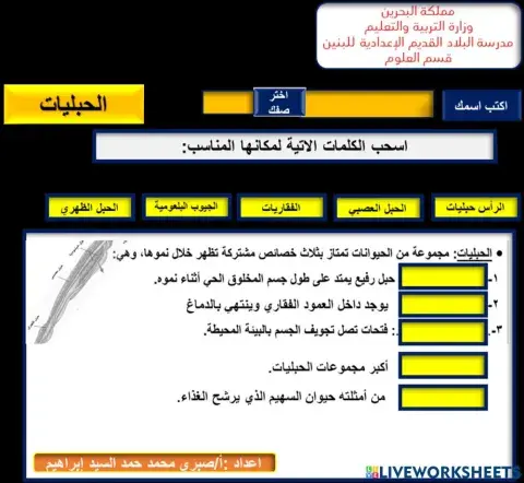 الحبليات خصائص