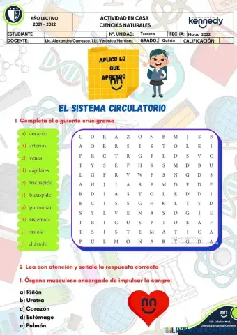 Unidad Educativa KENNEDY