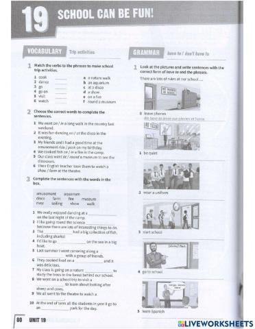 Have to dont have to