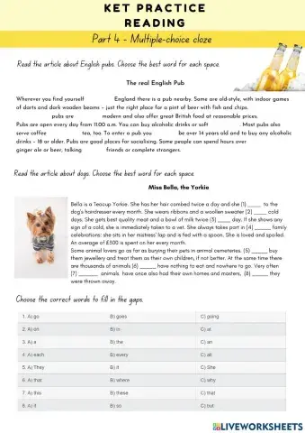 KET Practice (Reading)