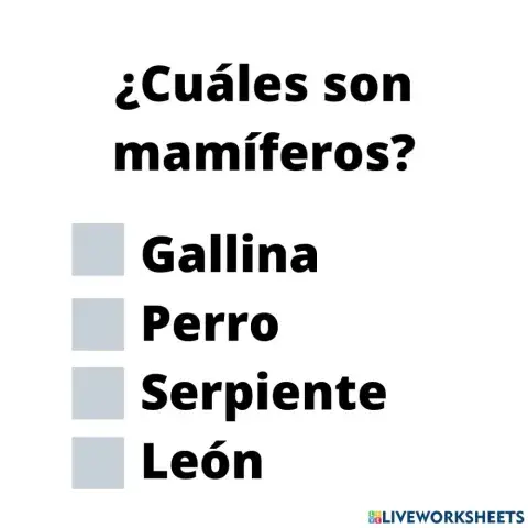 Mamíferos