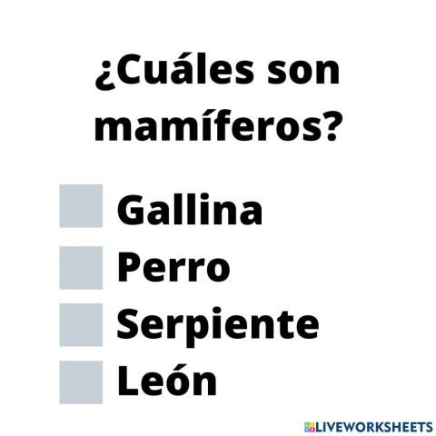 Mamíferos