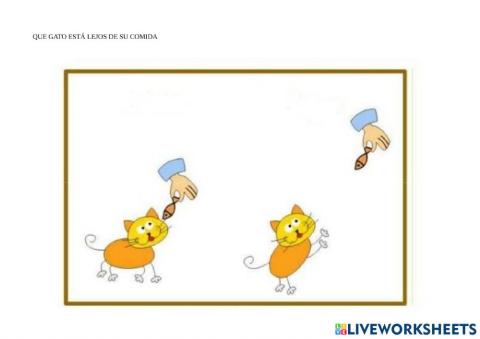 Cerca lejos gatos comida