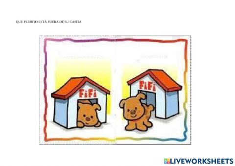 Dentro fuera perritos