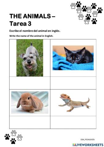 THE ANIMALS - Tarea 3
