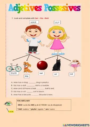 Adjetives possesives