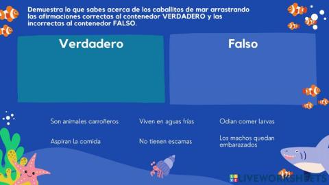 Después de la lectura: El caballito de mar