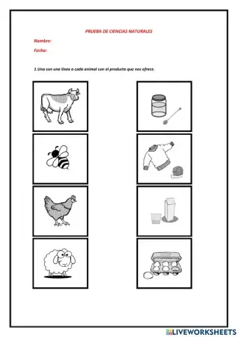 Prueba de Ciencias Naturales