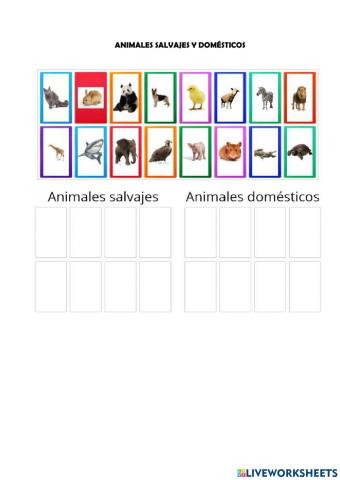 Clasificación de animales