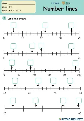 G2 - Number lines  - practice