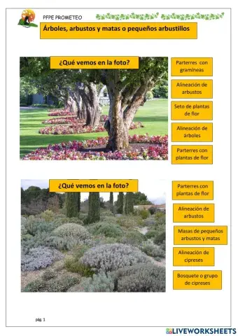 Identificar qué vemos en estos jardines
