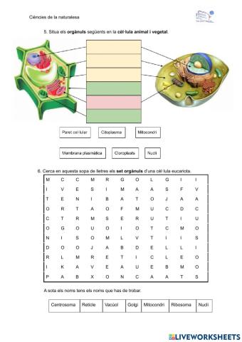 Cèl·lules orgànuls