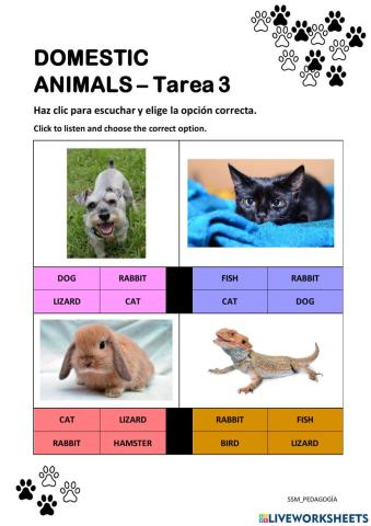DOMESTIC ANIMALS - Tarea 3