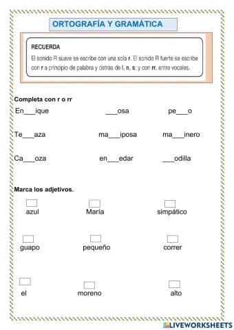 Ortografía y gramática