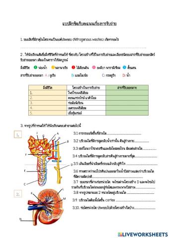 แบบทดสอบเรื่องการขับถ่าย