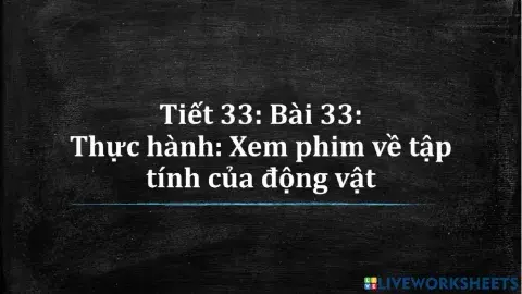 Bài 33: Thực hành xem phim về tập tính của động vật