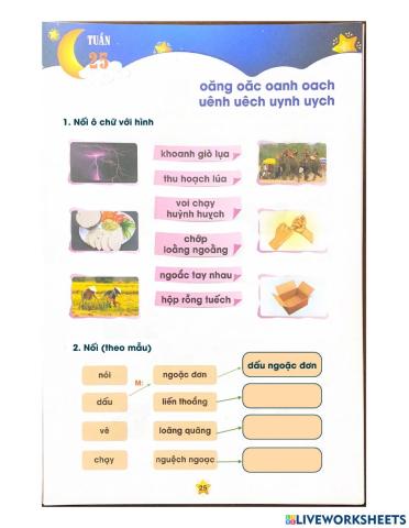 Tiếng Việt - Tuần 25