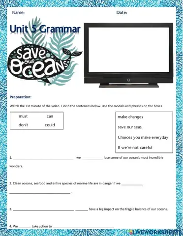 Save Our Seas (Modals of Permission and Prohibition)