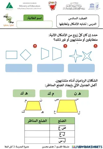 تشابه الأشكال وتطابقها