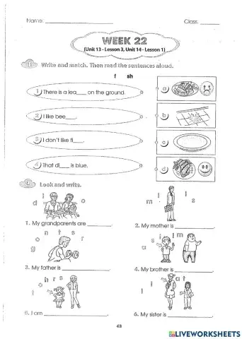 Unit 14:What does he look like?