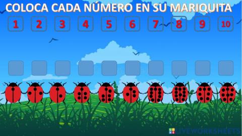 Asociacion cantidad 1-10